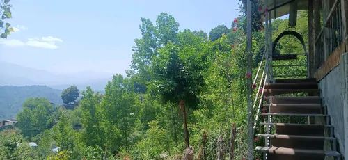 تصویر 19 - کلبه تی تی در سوادکوه