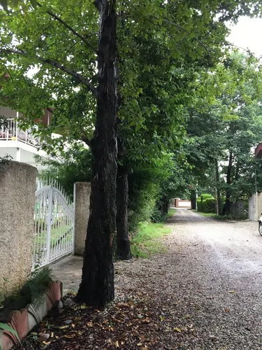 تصویر 12 - ویلا  باغ نیکوکار در  چالوس