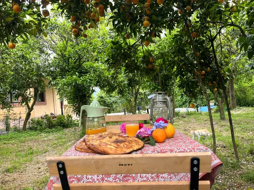تصویر 17 - کلبه چیکا درمیان باغ پرتقال دلباز در شهسوار