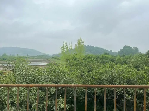 تصویر 3 - ویلا ویلای کیمه  در شیرگاه