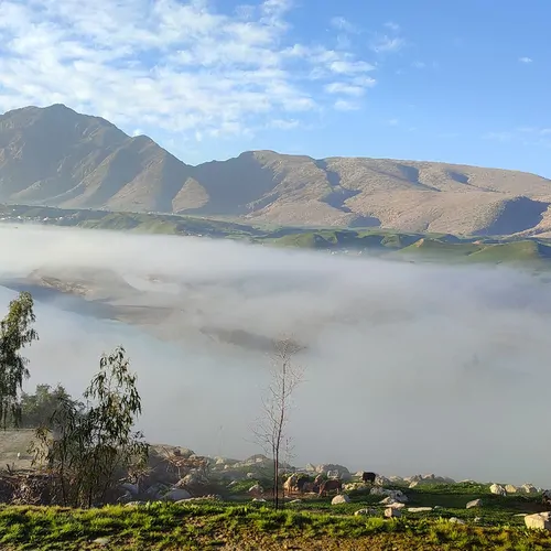 تصویر 3 - اقامتگاه بوم‌گردی اقامتگاه بومگردی دشت سوسن در ایذه
