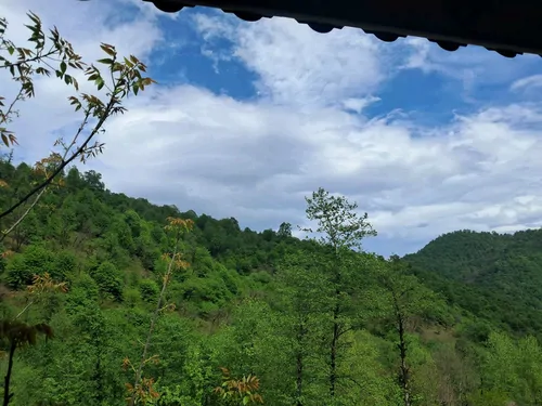 تصویر 20 - ویلا جنگلی فرهاد در ماسال