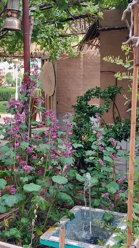 تصویر 18 - خانه ایکوت (بوم شمالی) در  مشهد