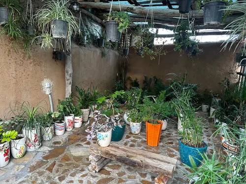 تصویر 15 - خانه سنتی بوژ در نیشابور