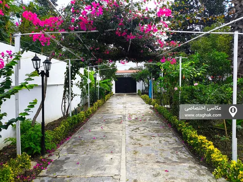 تصویر 26 - ویلا استخردار لیدو رو به دریا در رامسر