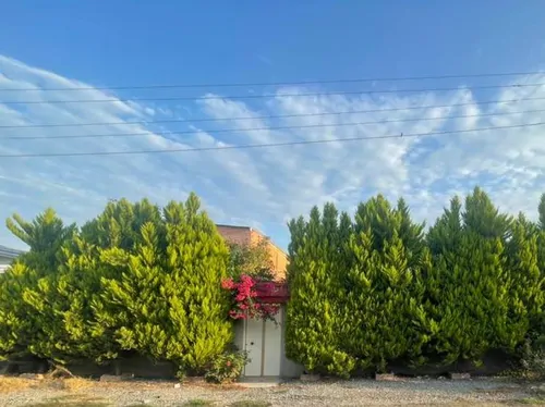 تصویر 4 - ویلا خونه باغ کیارش در بابلسر