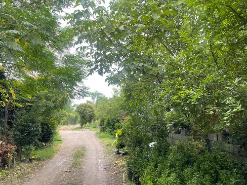 تصویر 17 - کلبه سوئیسی تی ته در  چابکسر