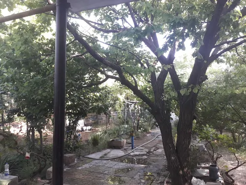 تصویر 4 - ویلا باغ در همدان