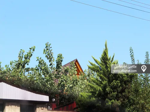 تصویر 3 - کلبه سوئیسی معروف در سوادکوه