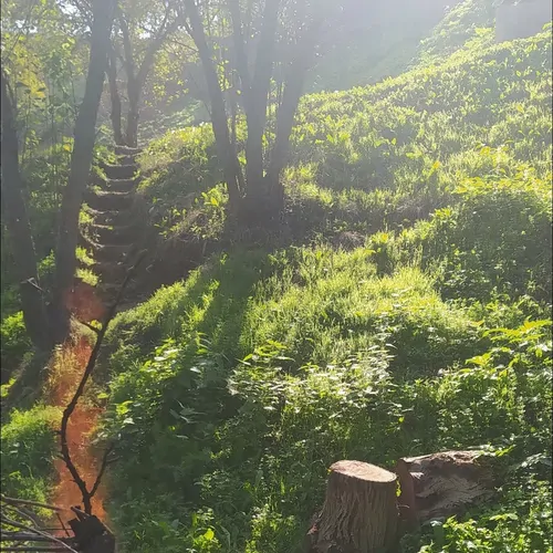 تصویر 4 - روستایی و عشایری بهشت کوچک ساری در ساری