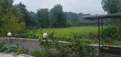 تصویر 24 - ویلا رایکا (1) جکوزی دار در سوادکوه