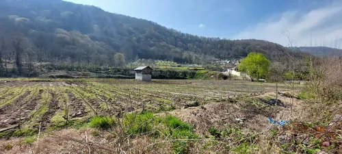 تصویر 14 - ویلا جعفری با جکوزی  در  زیراب