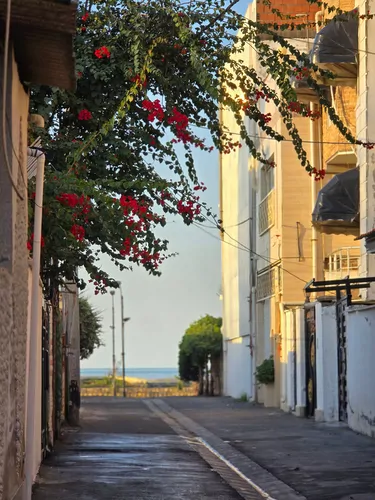 تصویر 17 - ویلا لب ساحل ماسه ای در  فریدون کنار