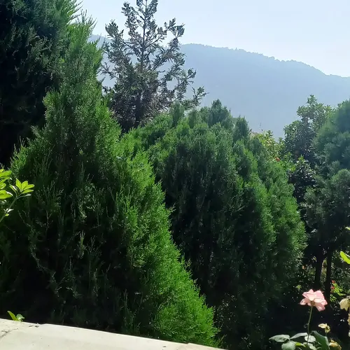 تصویر 2 - ویلا انتیک در رامسر