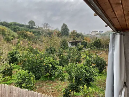 تصویر 12 - کلبه دل نواز ونوشه در بابل کنار