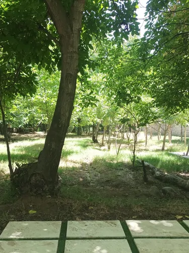 تصویر 2 - سوییت باغ رز در برغان