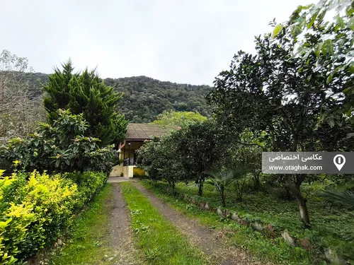 تصویر 2 - ویلا جنگلی تمشک در رامسر