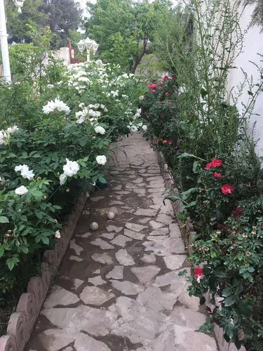 تصویر 3 - ویلا فضای دلنشین در تهران