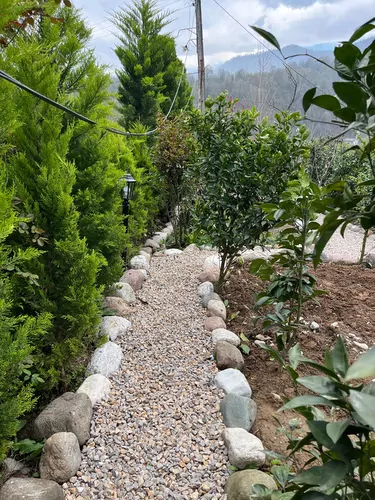 تصویر 30 - کلبه سوئیسی چوبی استخردار آبگرم هیرکان در ماسال