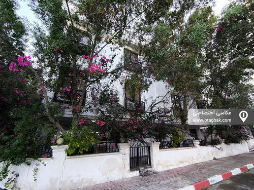 تصویر 12 - خانه مبله دارا (۴) در  کیش