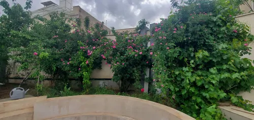 تصویر 34 - ویلا استخردار آبگرم عمارت آوان  در  کردان