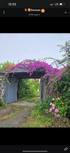 تصویر 16 - ویلا جنگلی سیکاس در نوشهر