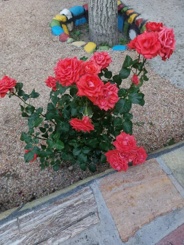 تصویر 33 - ویلا آتاباغی  در  اسکو