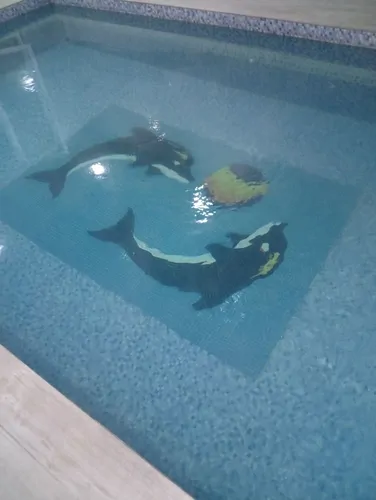 تصویر 14 - ویلا استخردار آبگرم رز در  ملارد 