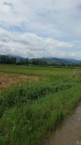 تصویر 27 - کلبه سوئیسی جنگلی نیل با جکوزی در لفور