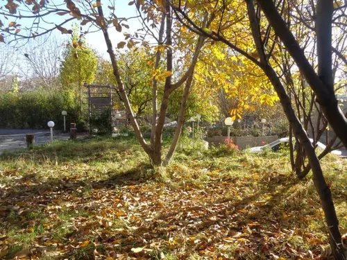 تصویر 12 - ویلا باغ پردیس در  بروجرد