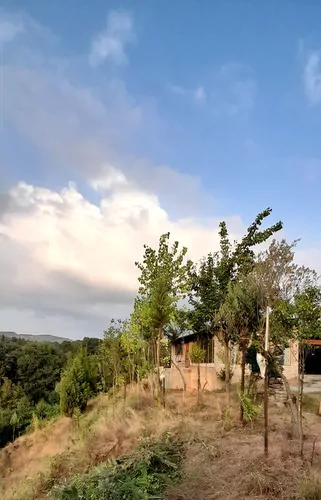 تصویر 15 - کلبه جنگلی دامون در  ساری