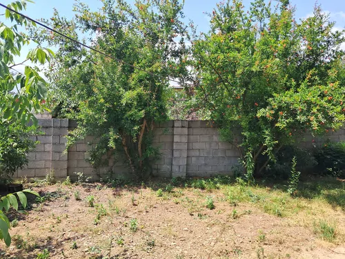 تصویر 3 - ویلا ویلا کوهستانی نازنین در ماسال