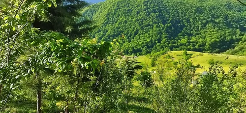 تصویر 17 - خانه جنگلی طالعی در  سوادکوه