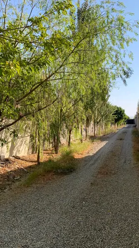 تصویر 13 - ویلا استخردار آبگرم آسمان در  سهیلیه