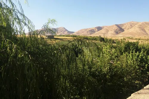 تصویر 7 - روستایی و عشایری ایل (سوییت 1 با سرویس) در  سمیرم