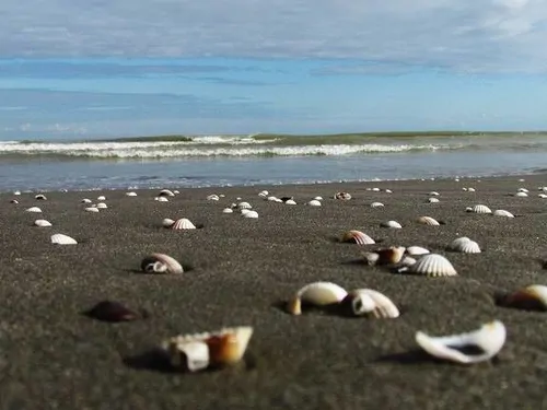 تصویر 23 - ویلا ساحلی حاجی بکنده در  زیبا کنار