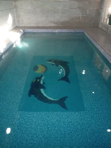 تصویر 20 - ویلا استخردار آبگرم رز در  ملارد 