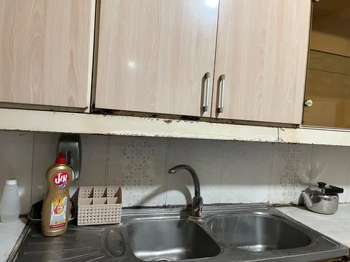 تصویر 7 - ویلا ارکیده در ساری