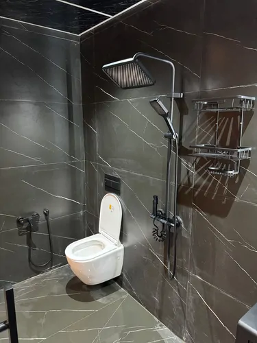 تصویر 21 - کلبه سوییسی استخردار آبگرم اِروس در  انزلی