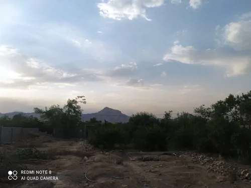 تصویر 5 - ویلا باغ روشنا در  تفت