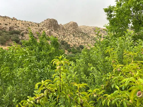 تصویر 3 - ویلا ویلا دوخوابه روستای کهکران(سپیدان،هماشهر،سربست) در سپیدان