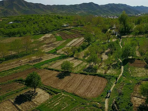تصویر 5 - اقامتگاه بومگردی درجه در خواف