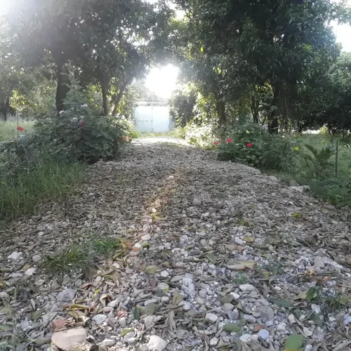 تصویر 3 - ویلا ویلاباغ بهشت در بابل