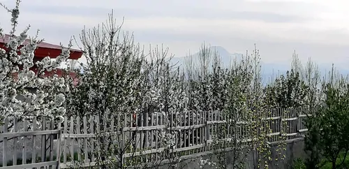 تصویر 7 - ویلا کندیم (9) در  نمین