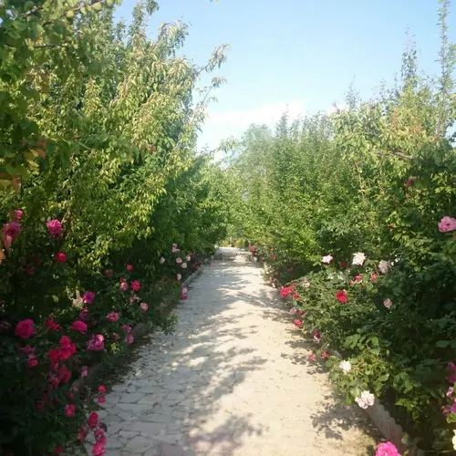 تصویر 17 - ویلا باغ فردوسی در  مشهد