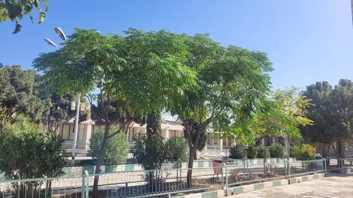 تصویر 10 - سوییت سید مرتضی (عادی) در  کاشمر