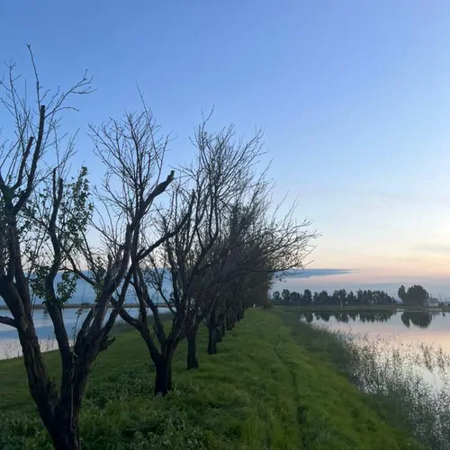 تصویر 24 - کلبه درختی سلامت با صبحانه رایگان در  بهشهر