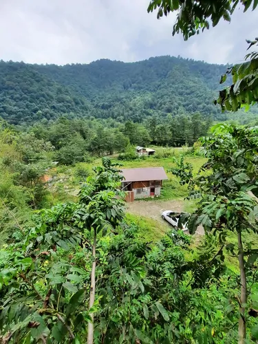 تصویر 8 - کلبه چوبی جنگلی آریالفور  در  شیرگاه