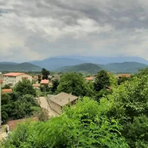 تصویر 3 - ویلا نارنج باغ در رشت