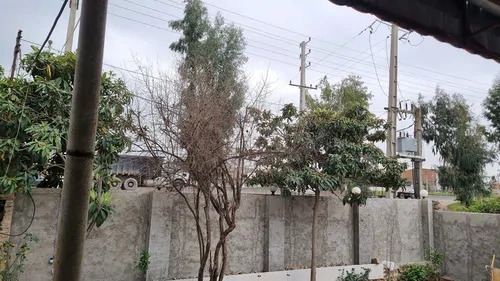 تصویر 13 - ویلا آرامش در نکا